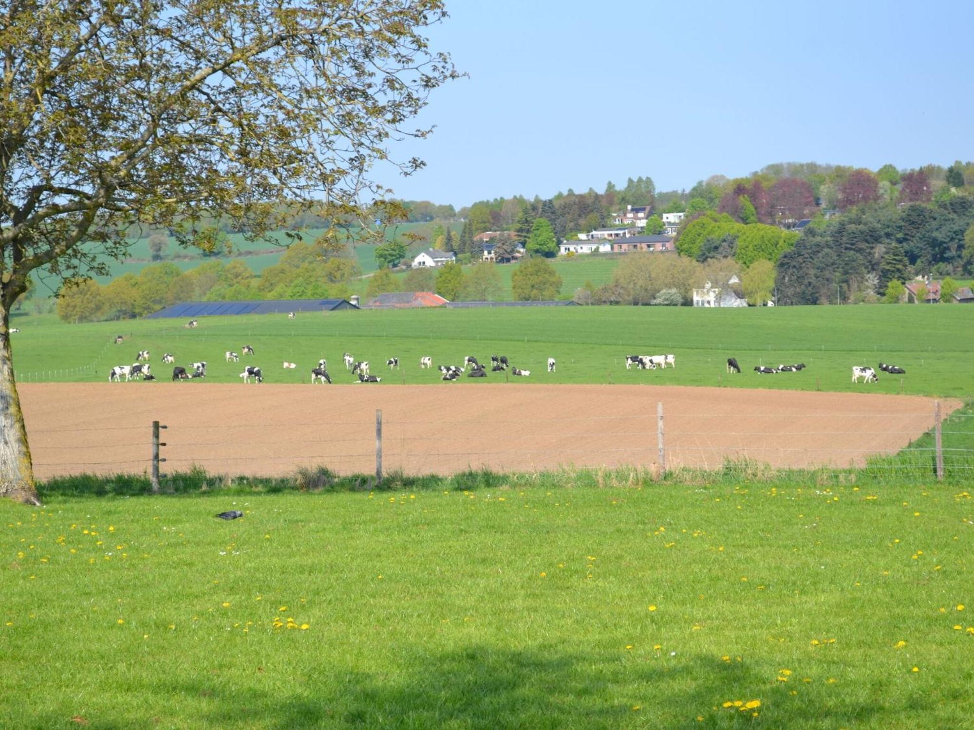 הוילה Klimmen Attractive Farmhouse In South Limburg With Terrace מראה חיצוני תמונה
